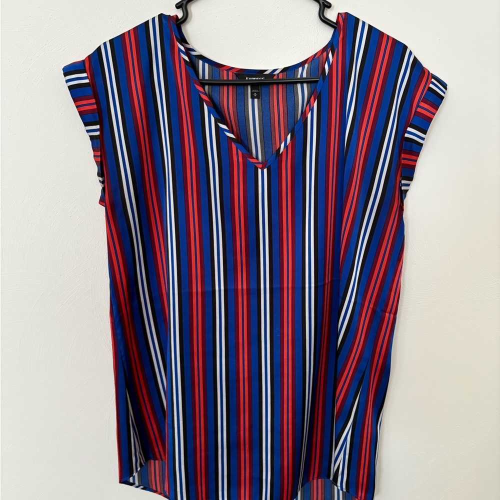 Express Multicolor Striped V-Neck Blouse